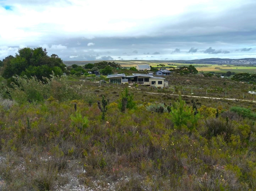 0 Bedroom Property for Sale in Baardskeerdersbos Western Cape